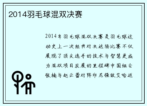 2014羽毛球混双决赛