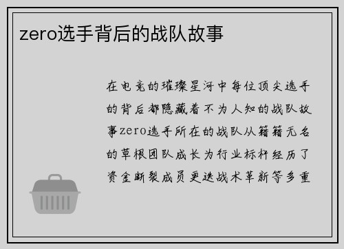 zero选手背后的战队故事